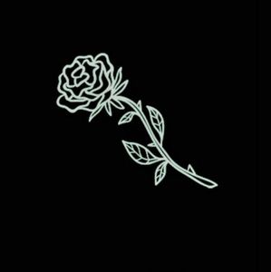 Meet your Posher, Naomi